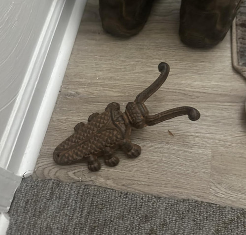 Cast iron boot - jack, remover